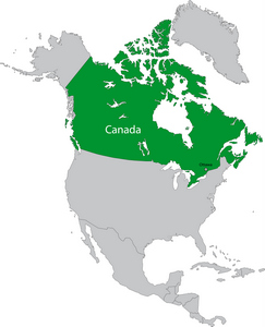 Bill 198, CSOX