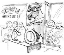bull_in_a_china_shop